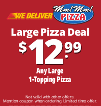 Large 1 Topping